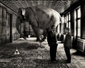 Digital transformation - l'elefante nella stanza